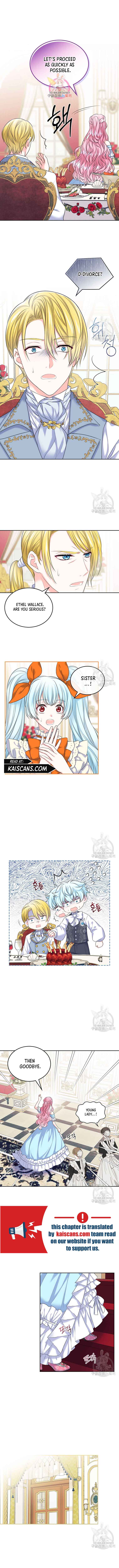 I Will Divorce the Female Lead’s Siscon Brother chapter 2 page 2