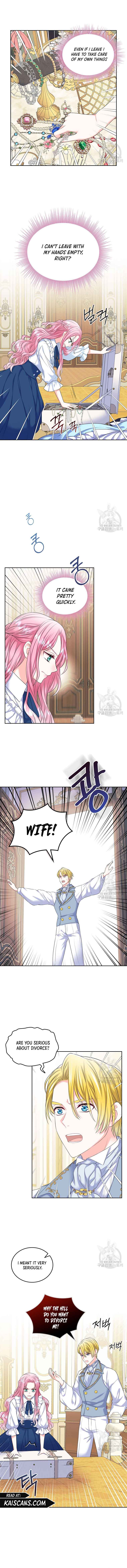 I Will Divorce the Female Lead’s Siscon Brother chapter 2 page 3