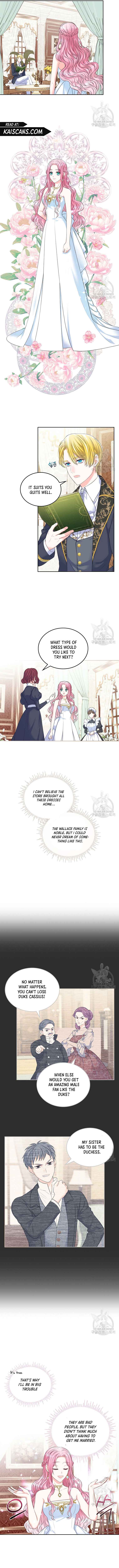 I Will Divorce the Female Lead’s Siscon Brother chapter 2 page 6