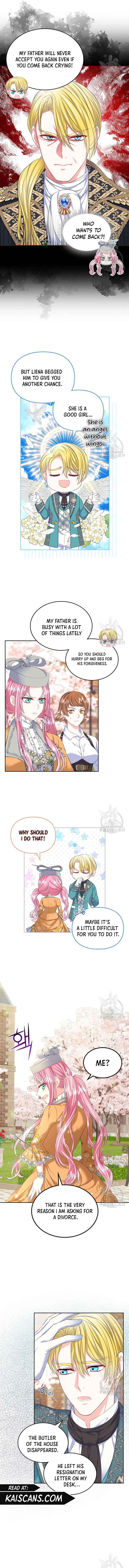 I Will Divorce the Female Lead’s Siscon Brother chapter 21 page 3