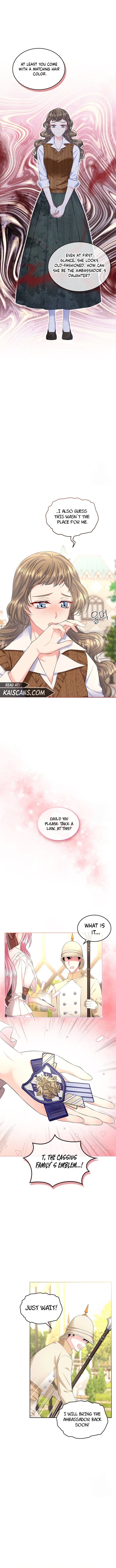 I Will Divorce the Female Lead’s Siscon Brother chapter 26 page 5