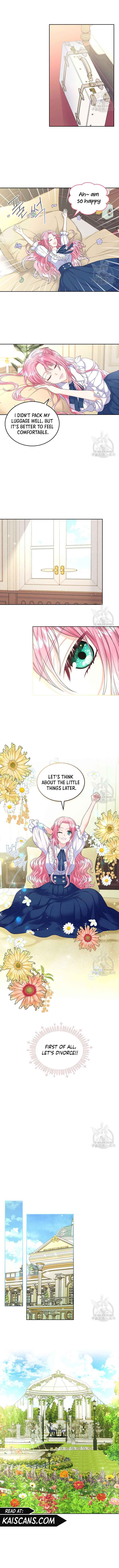 I Will Divorce the Female Lead’s Siscon Brother chapter 3 page 8