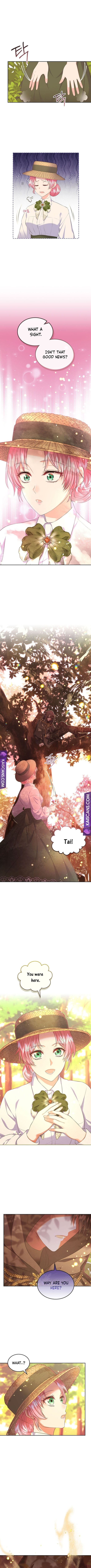 I Will Divorce the Female Lead’s Siscon Brother chapter 36 page 8