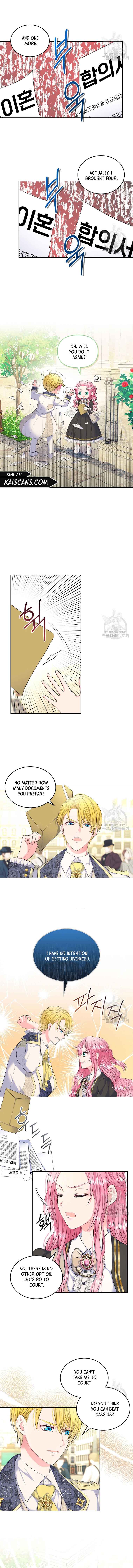 I Will Divorce the Female Lead’s Siscon Brother chapter 4 page 5