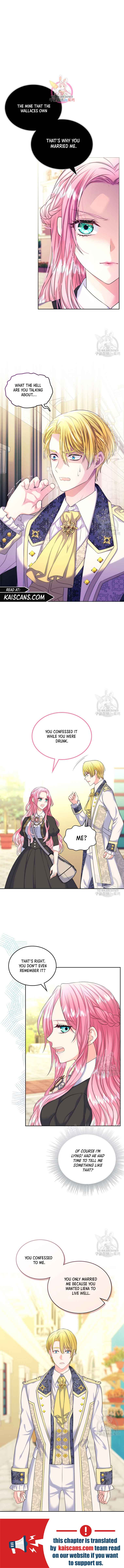 I Will Divorce the Female Lead’s Siscon Brother chapter 5 page 2