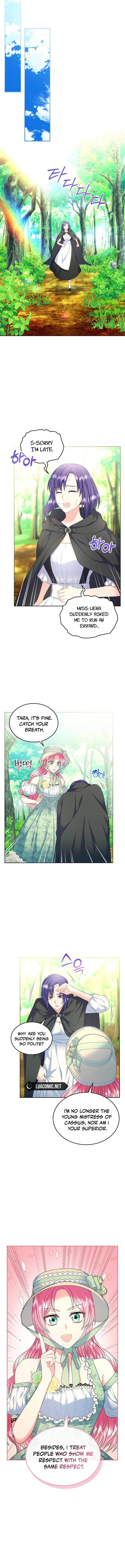 I Will Divorce the Female Lead’s Siscon Brother chapter 50 page 8