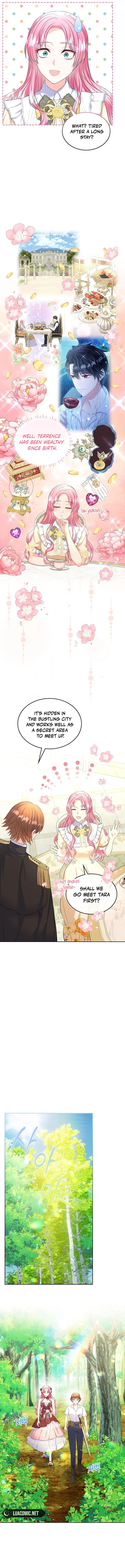 I Will Divorce the Female Lead’s Siscon Brother chapter 51 page 3
