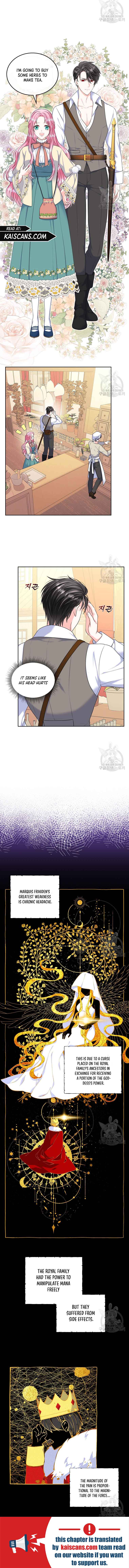 I Will Divorce the Female Lead’s Siscon Brother chapter 6 page 11