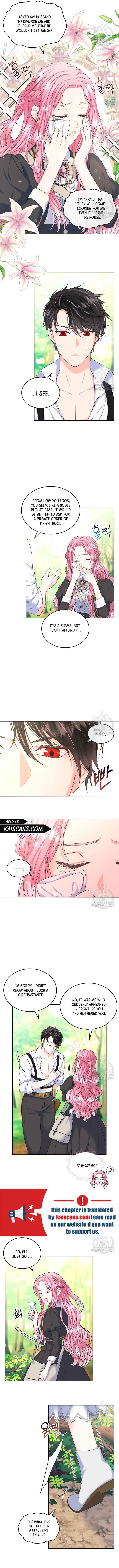 I Will Divorce the Female Lead’s Siscon Brother chapter 6 page 3