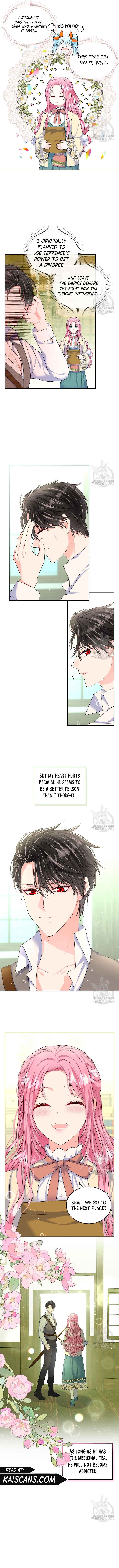 I Will Divorce the Female Lead’s Siscon Brother chapter 7 page 4