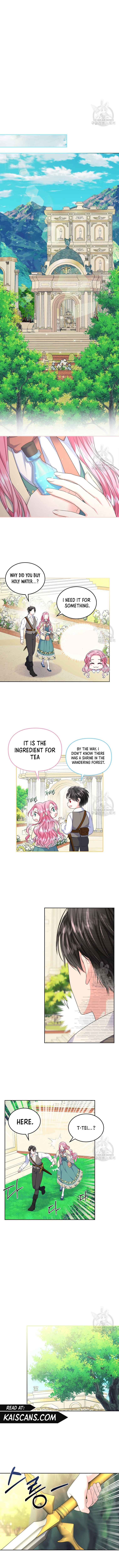 I Will Divorce the Female Lead’s Siscon Brother chapter 7 page 5