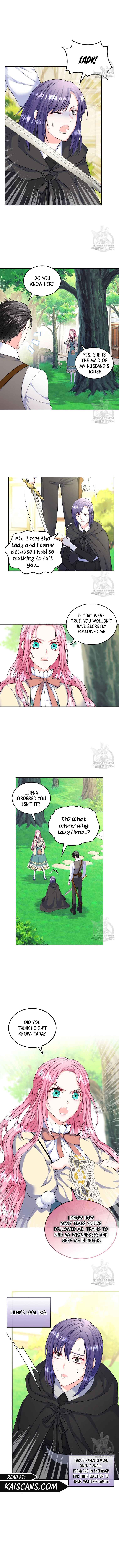 I Will Divorce the Female Lead’s Siscon Brother chapter 7 page 8