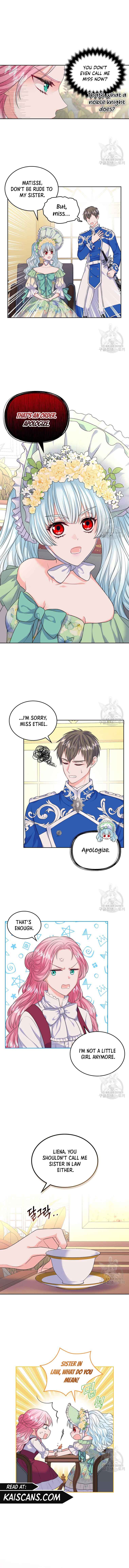 I Will Divorce the Female Lead’s Siscon Brother chapter 9 page 3
