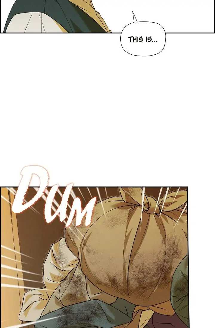 Ice Lamp - The Chronicles of Kira chapter 24 page 10