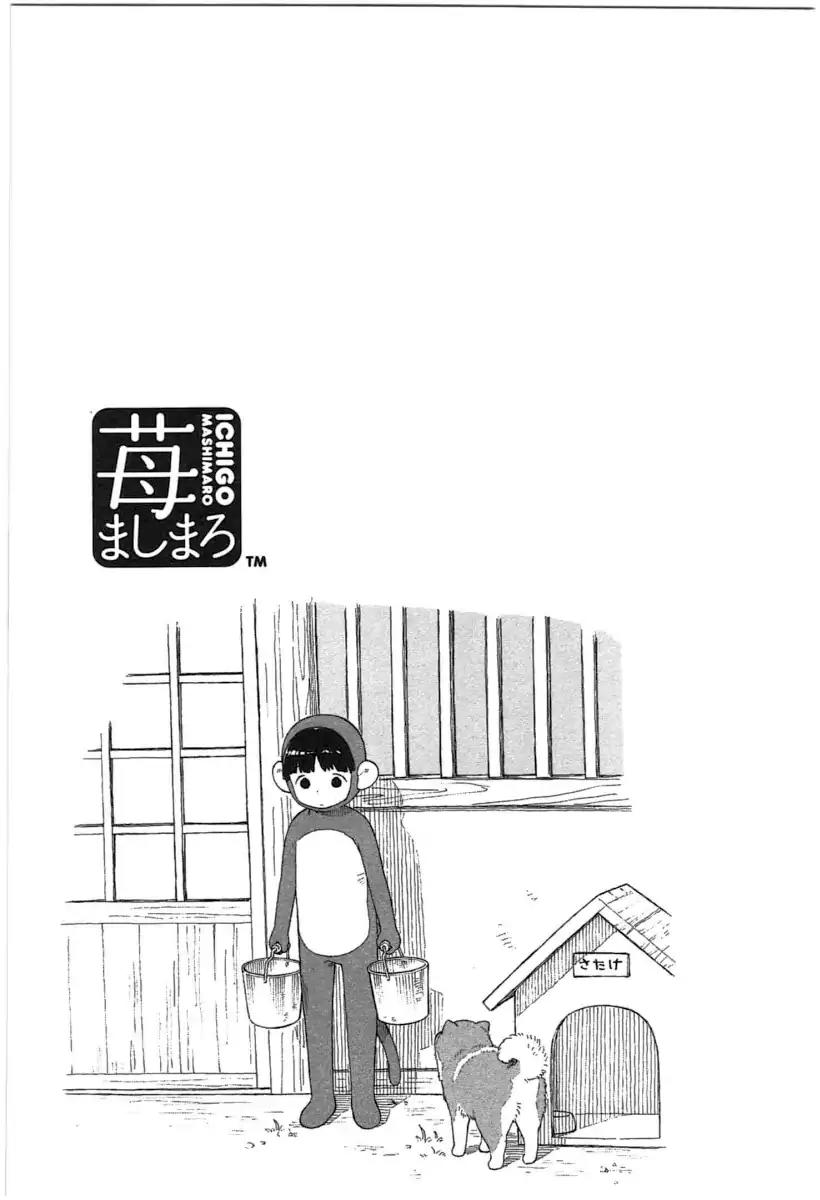 Ichigo Mashimaro chapter 64 page 14