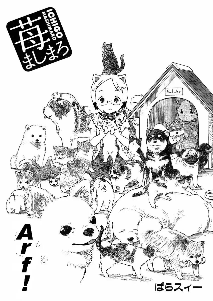 Ichigo Mashimaro chapter 65 page 2