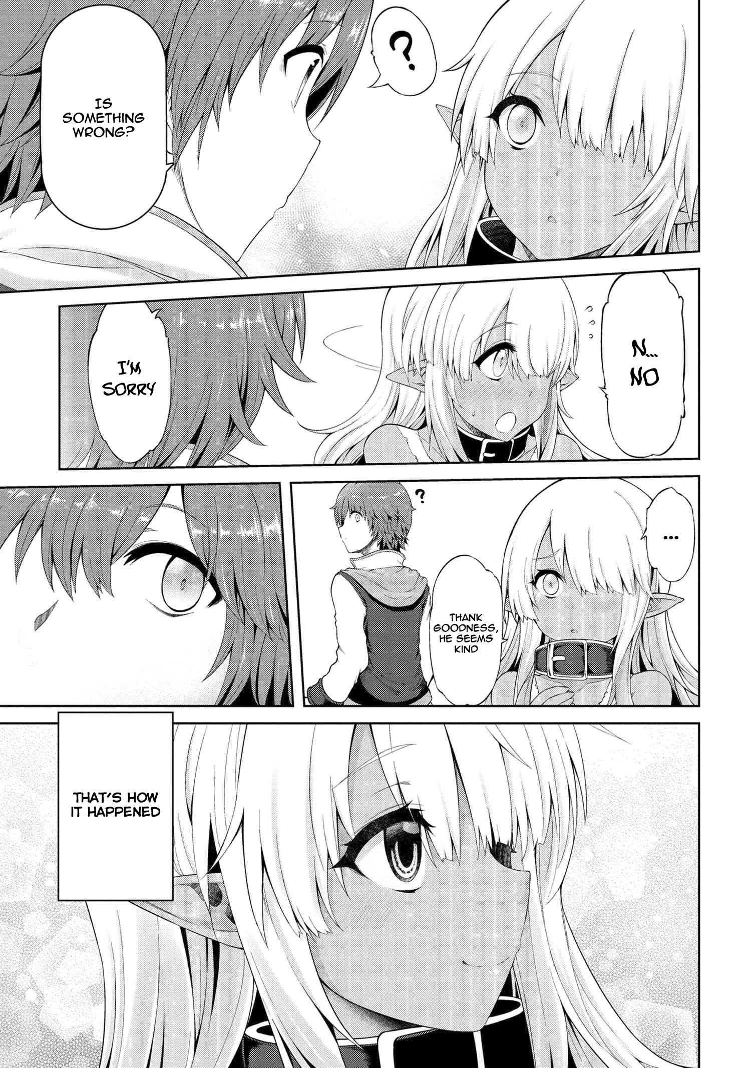Ie ga Moete Jinsei Dou Demo Yoku Natta kara, Nokotta Nakenashi no Kin de Dark Elf no Dorei o Katta chapter 1 page 33