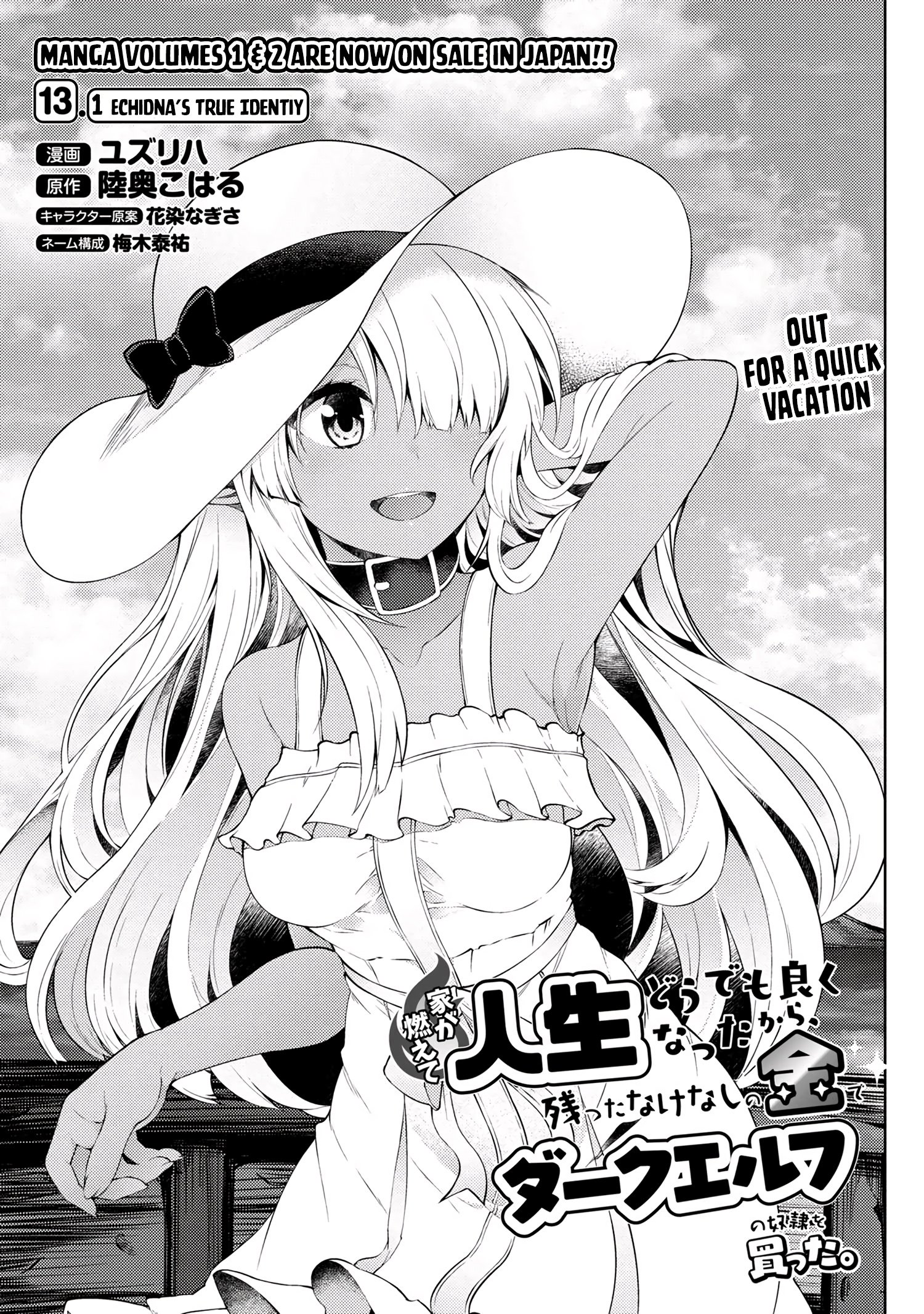Ie ga Moete Jinsei Dou Demo Yoku Natta kara, Nokotta Nakenashi no Kin de Dark Elf no Dorei o Katta chapter 13.1 page 2