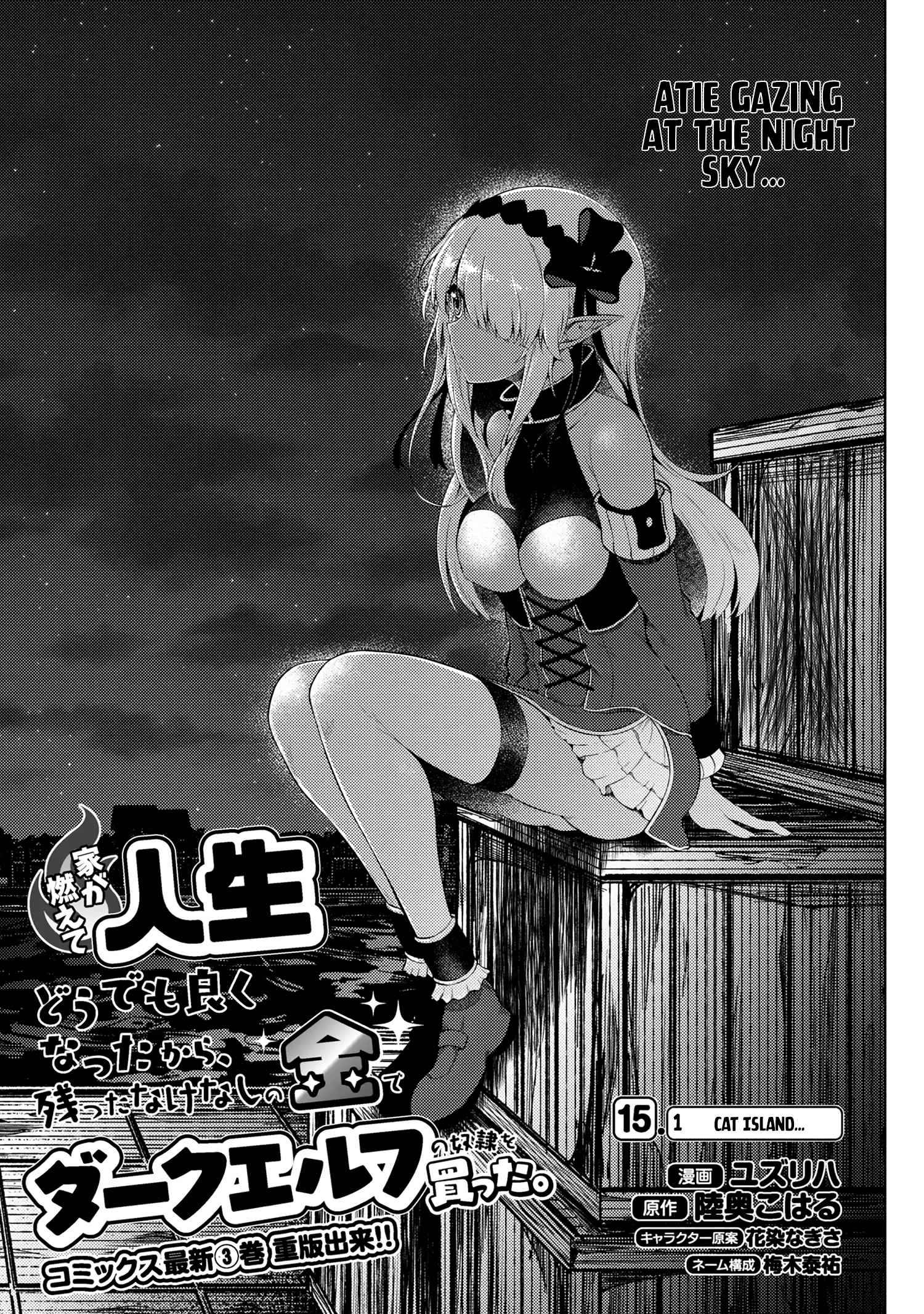 Ie ga Moete Jinsei Dou Demo Yoku Natta kara, Nokotta Nakenashi no Kin de Dark Elf no Dorei o Katta chapter 15.1 page 4