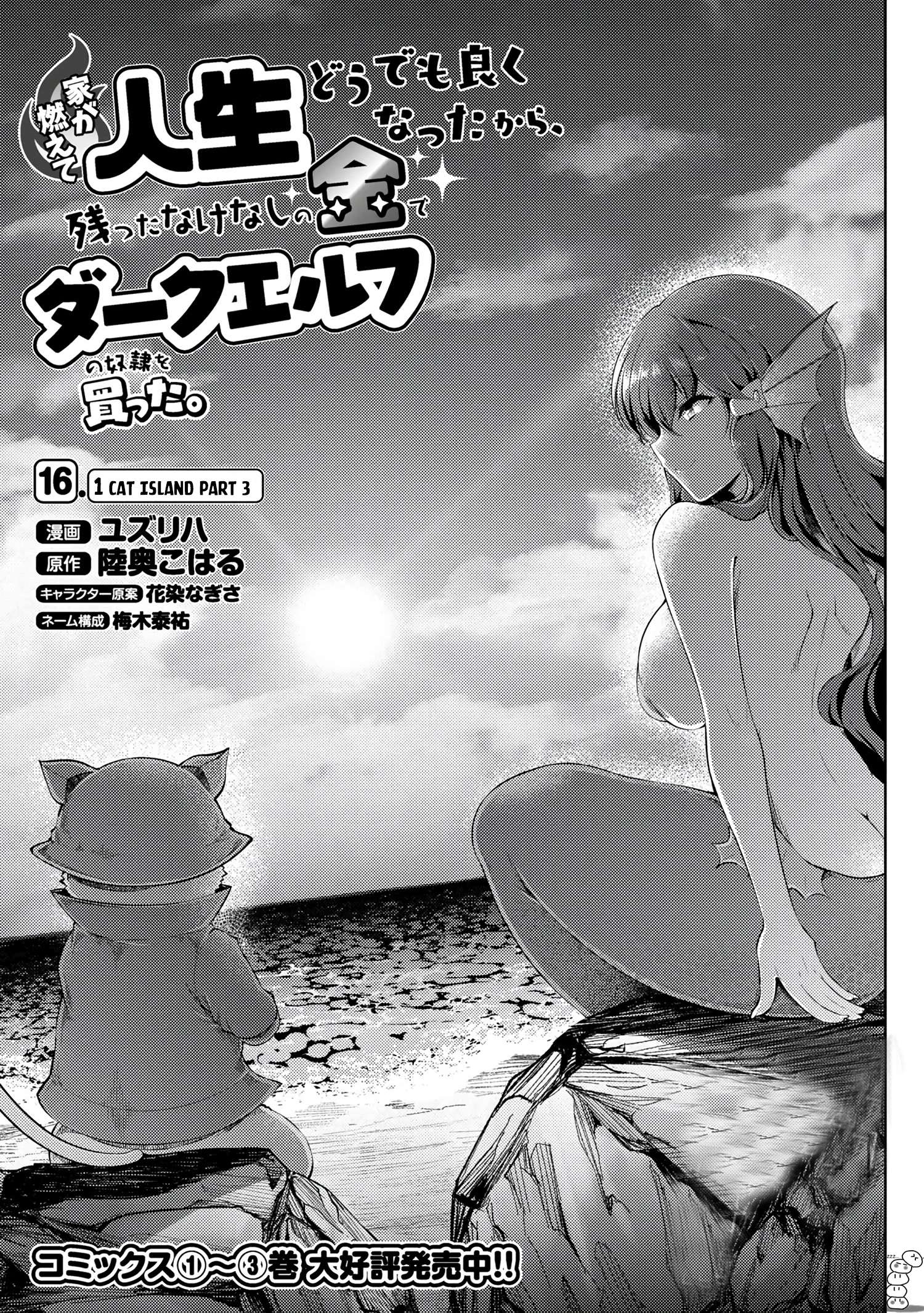 Ie ga Moete Jinsei Dou Demo Yoku Natta kara, Nokotta Nakenashi no Kin de Dark Elf no Dorei o Katta chapter 16.1 page 2