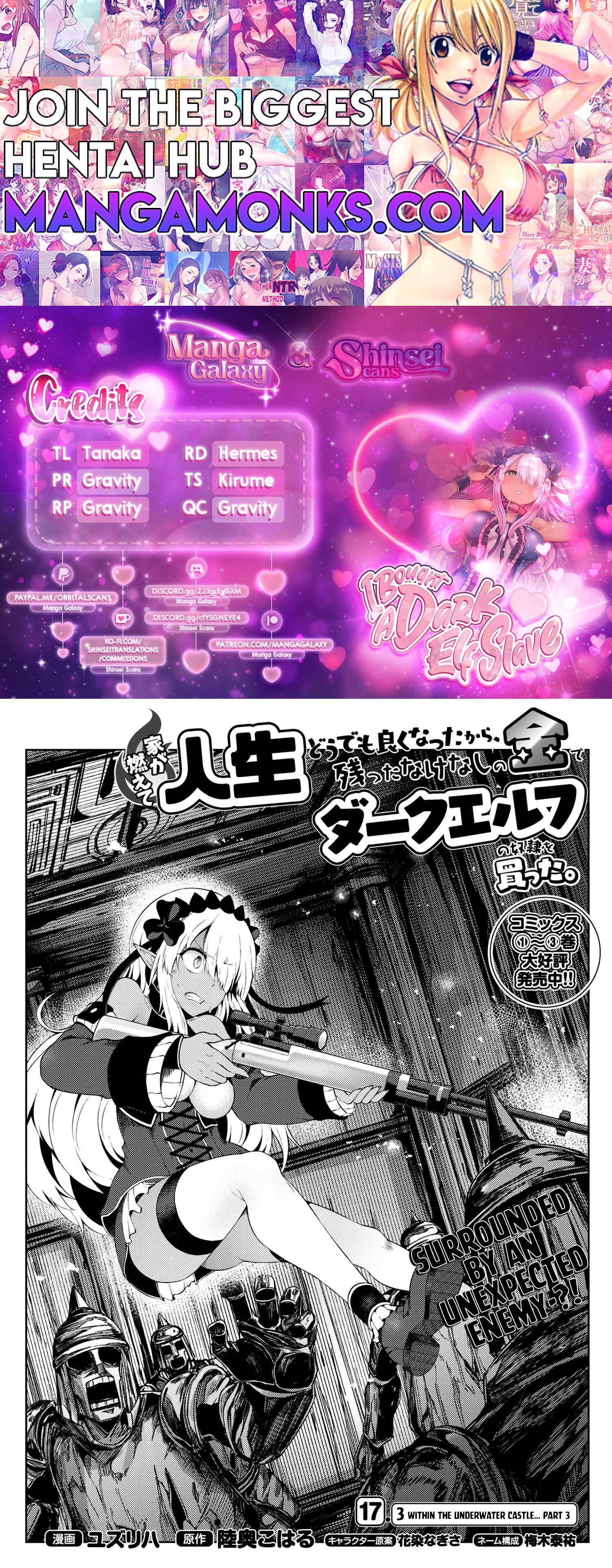 Ie ga Moete Jinsei Dou Demo Yoku Natta kara, Nokotta Nakenashi no Kin de Dark Elf no Dorei o Katta chapter 17.3 page 1