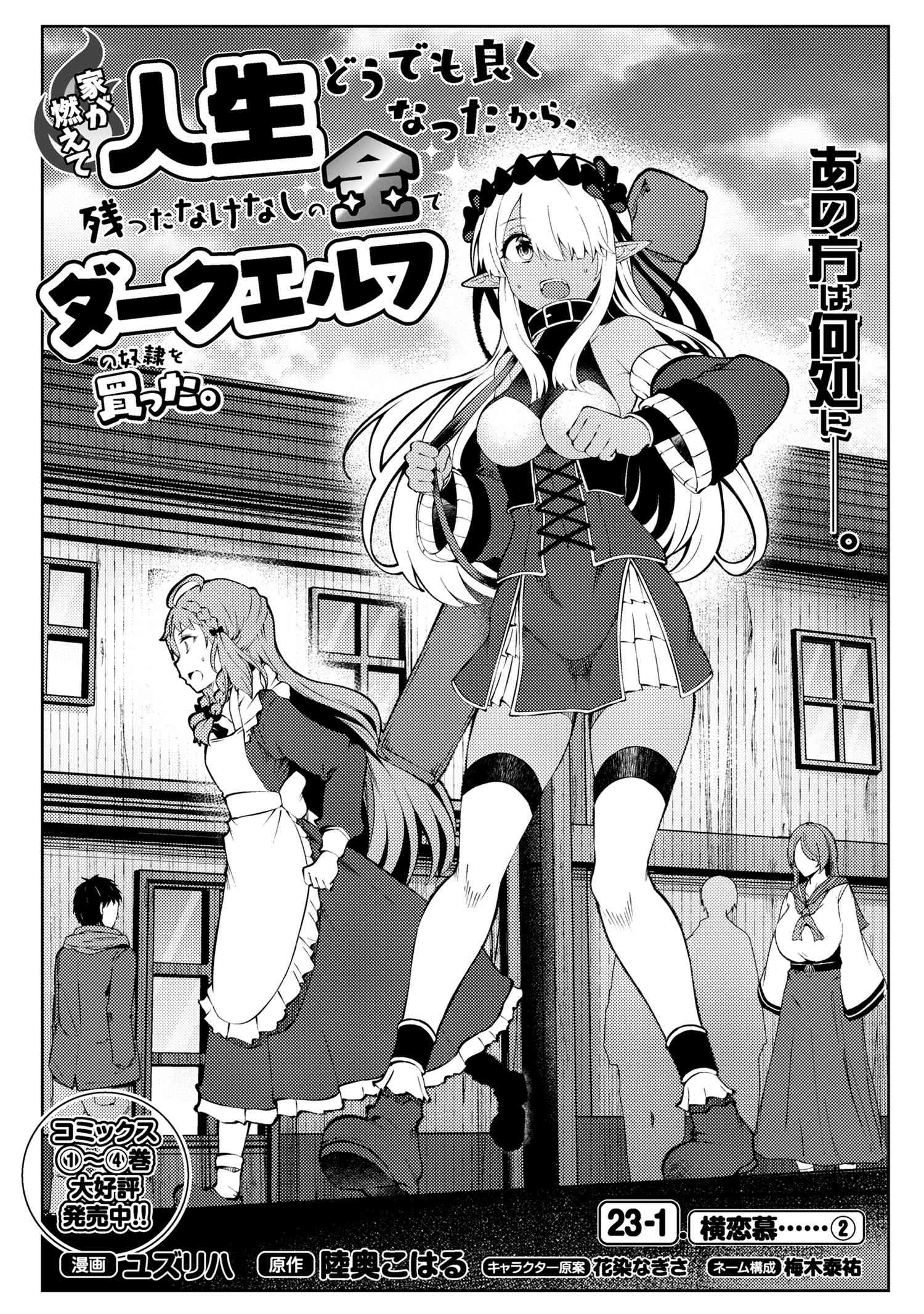 Ie ga Moete Jinsei Dou Demo Yoku Natta kara, Nokotta Nakenashi no Kin de Dark Elf no Dorei o Katta chapter 23.1 page 2