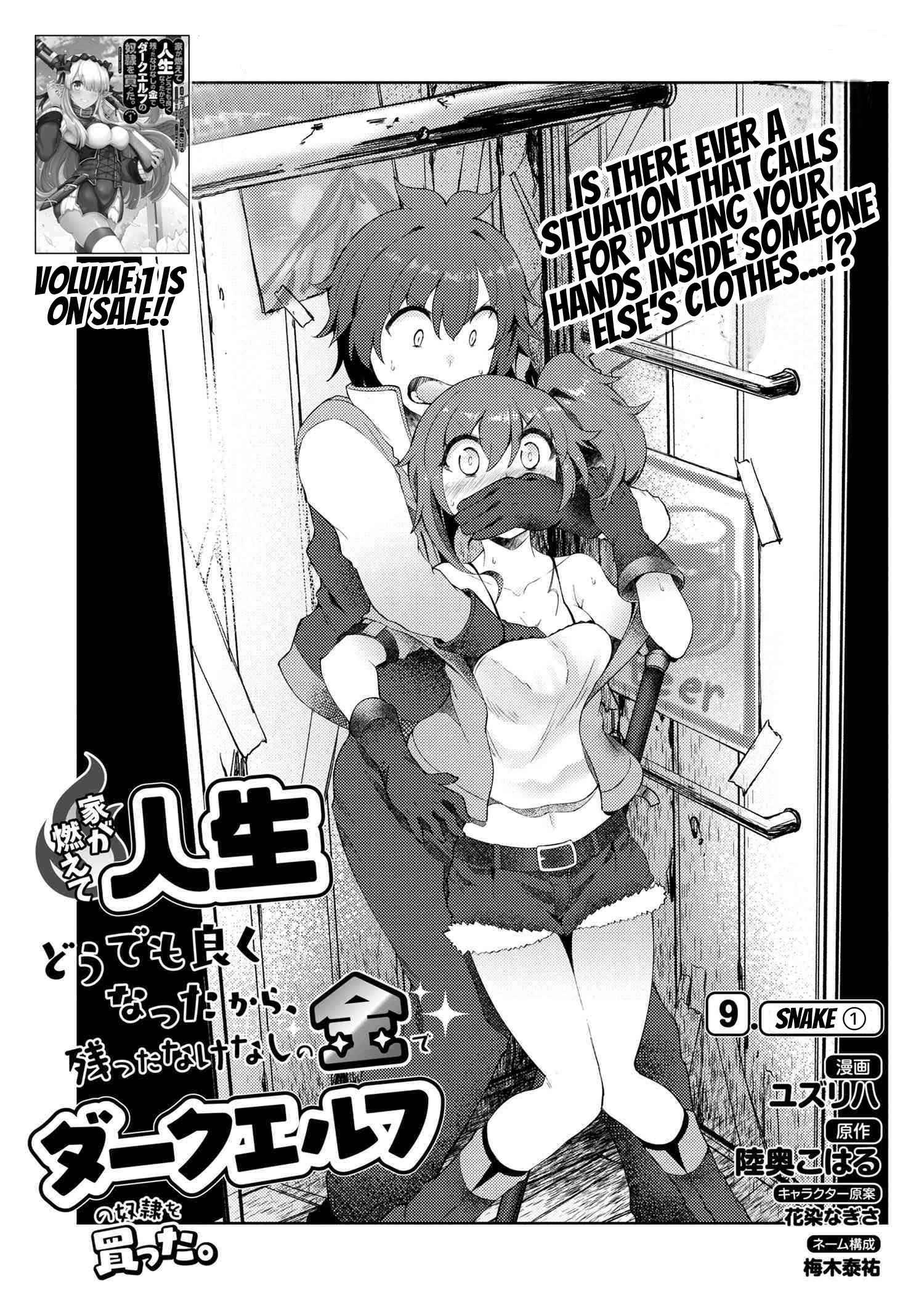 Ie ga Moete Jinsei Dou Demo Yoku Natta kara, Nokotta Nakenashi no Kin de Dark Elf no Dorei o Katta chapter 9.1 page 2