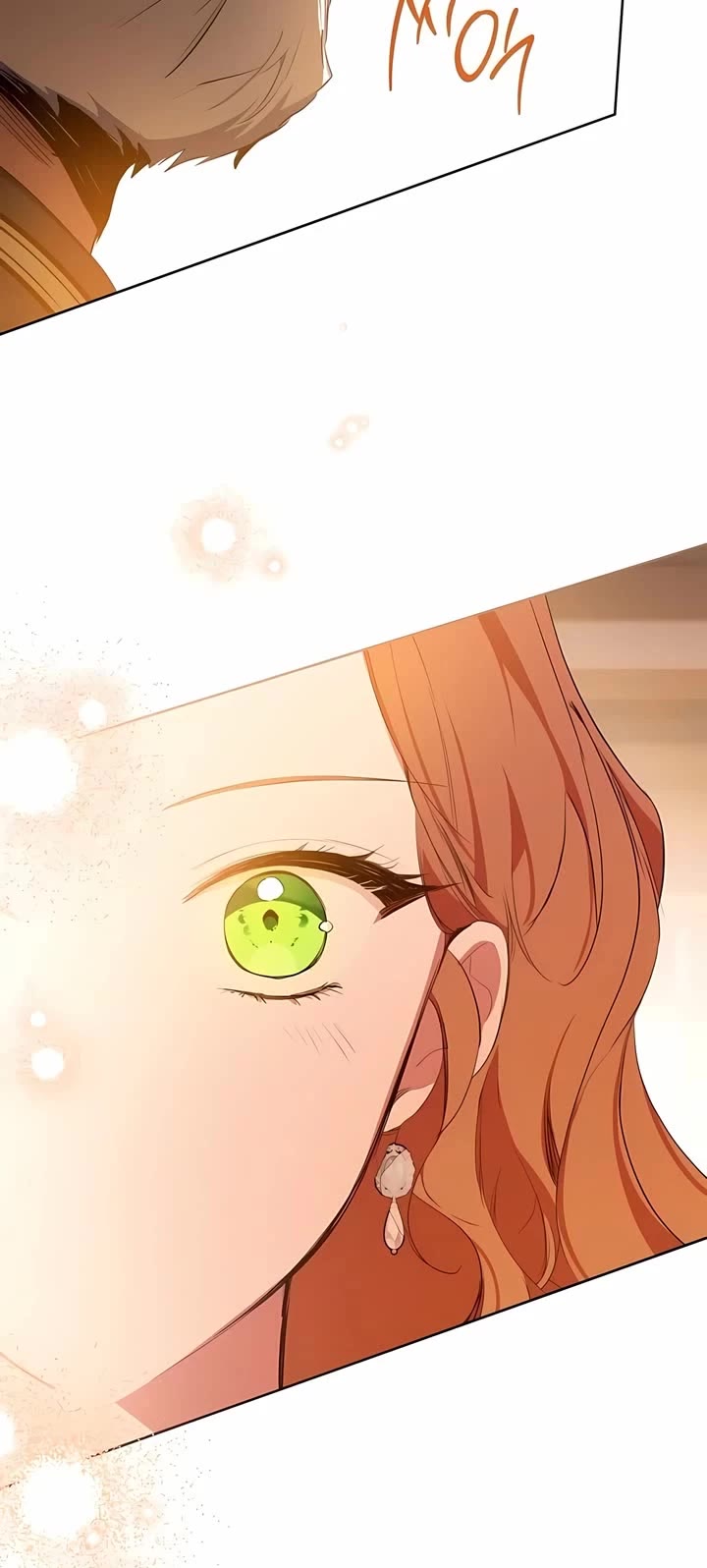 I'll Be the Matriarch in This Life chapter 171 page 49