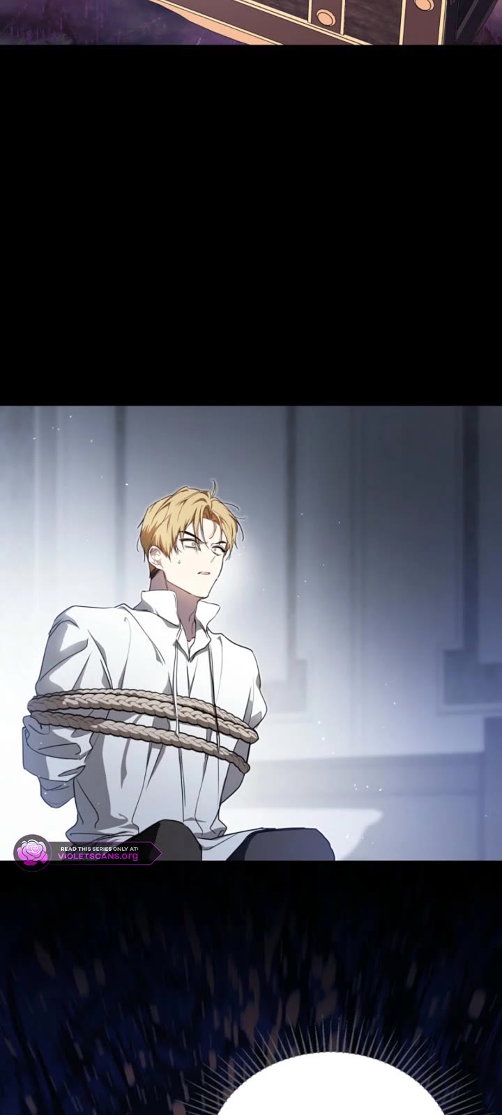 I'll Be the Matriarch in This Life chapter 202 page 12