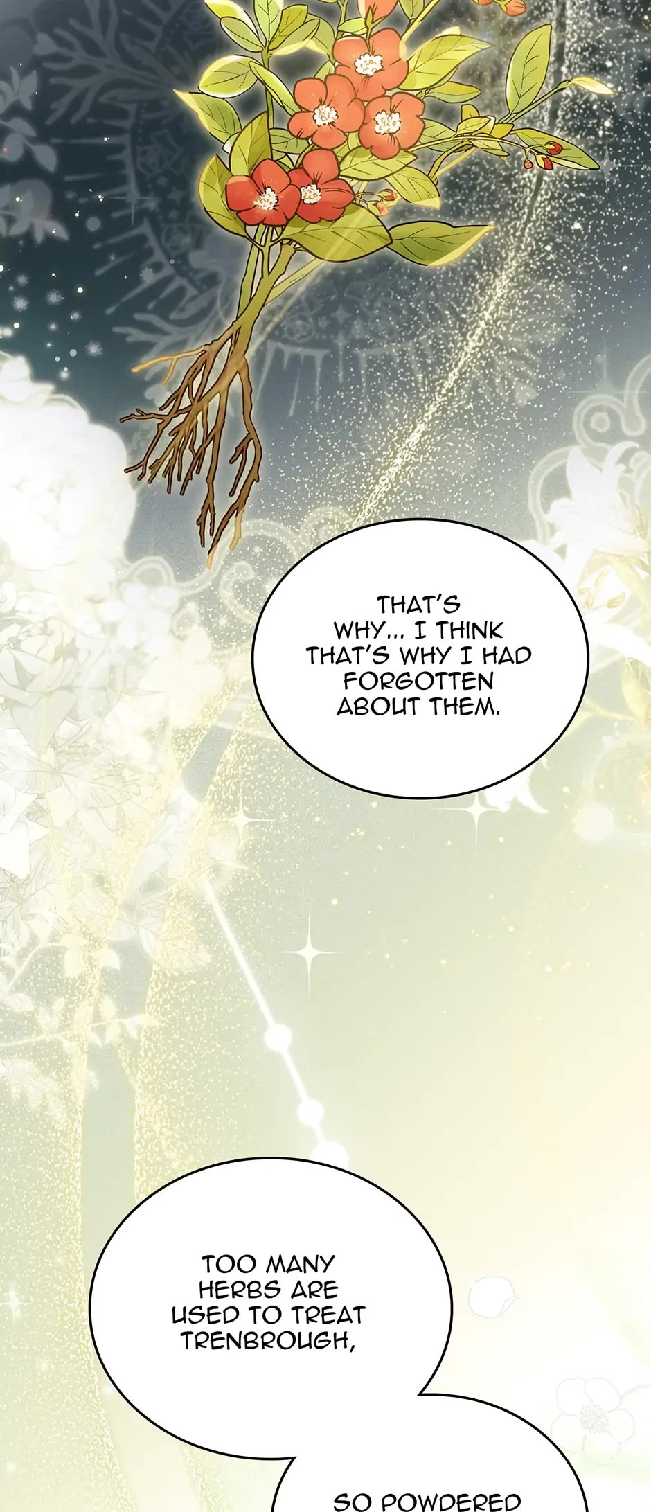 I'll Be the Matriarch in This Life chapter 72 page 14