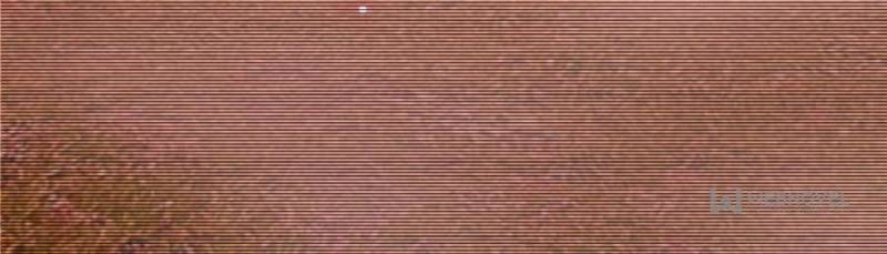 I’m An Evil God chapter 194 page 8