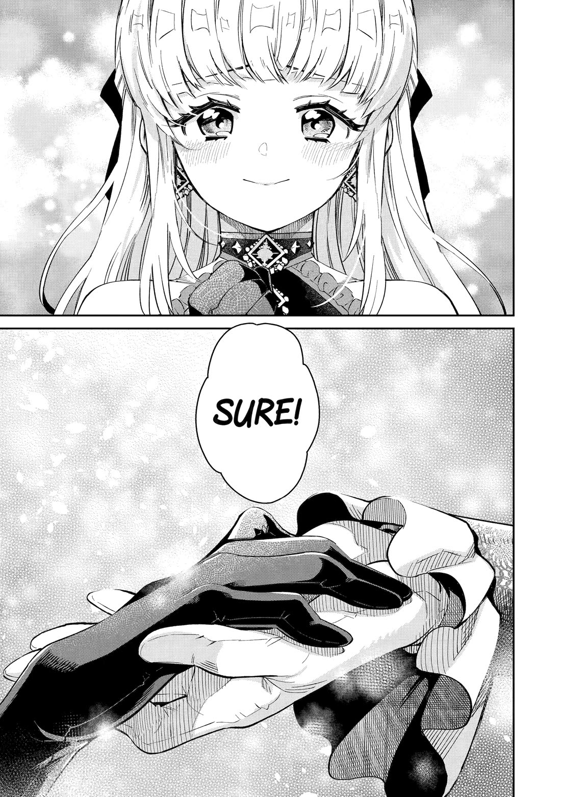 I’m No Hero of the Shadows! chapter 5 page 11