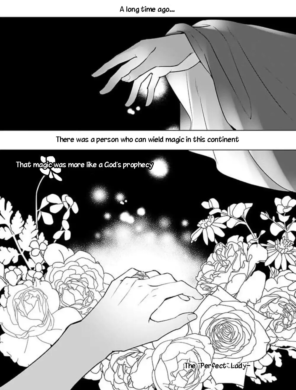 I’m the Prince’s Consort Candidate However, I Believe I Can Certainly Surpass It! chapter 1 page 2