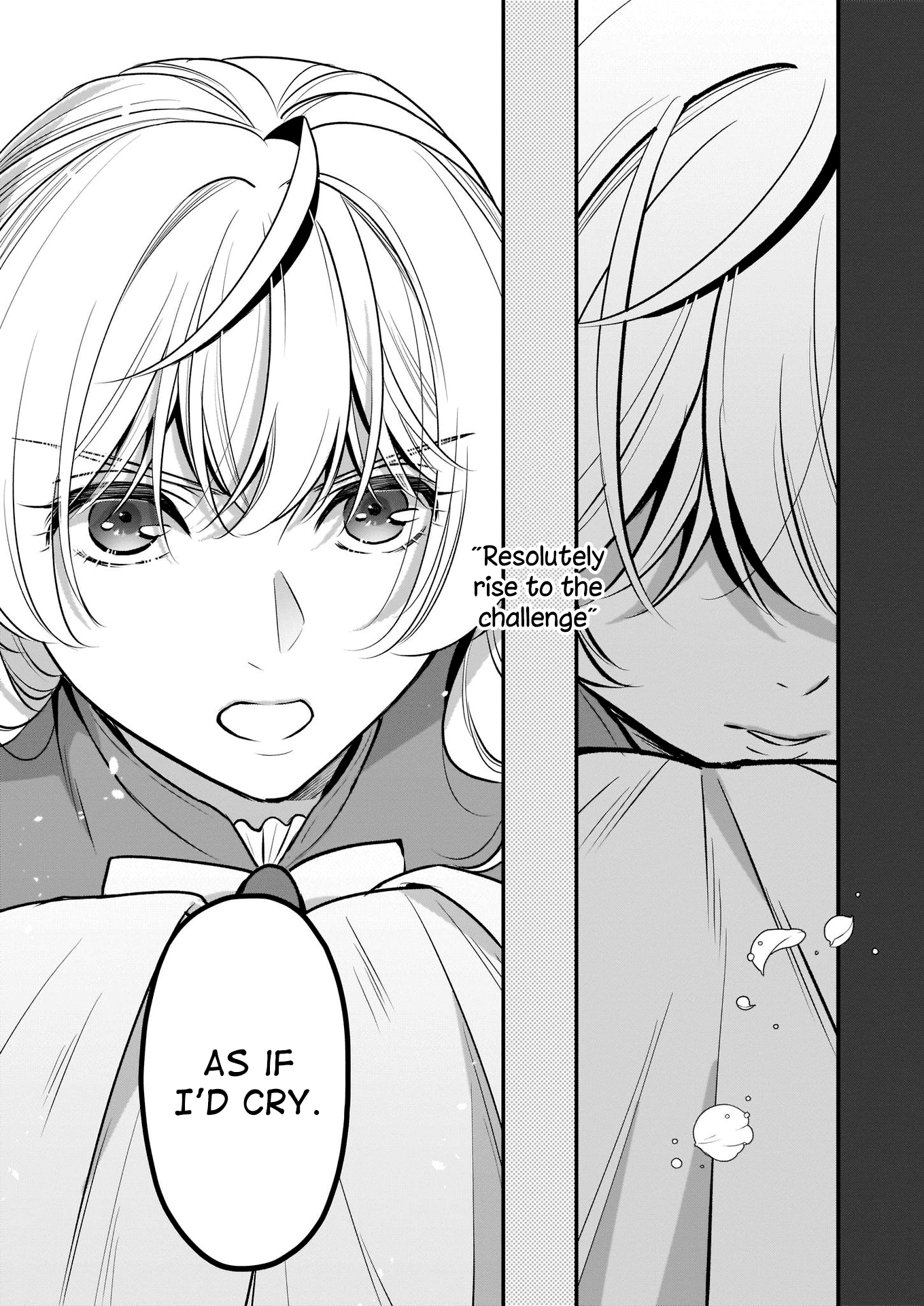 I’m the Prince’s Consort Candidate However, I Believe I Can Certainly Surpass It! chapter 13 page 29