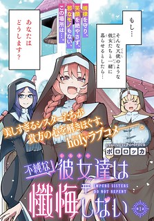 Cover of Impure Sisters Do Not Repent