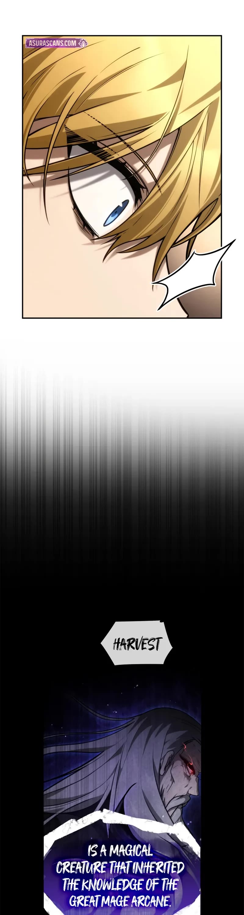 Infinite Mage chapter 144 page 13