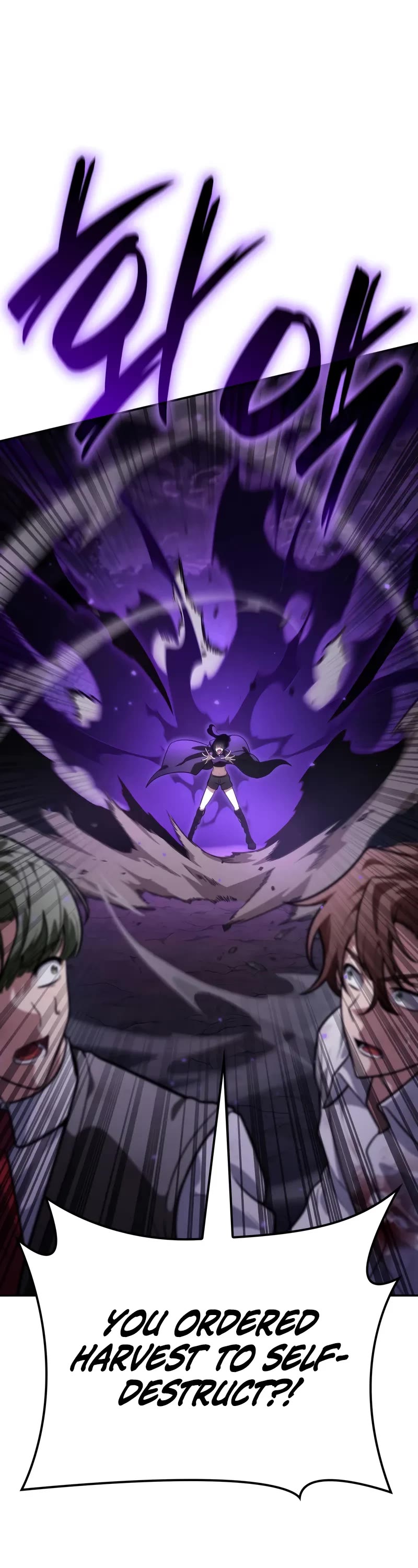 Infinite Mage chapter 85 page 41