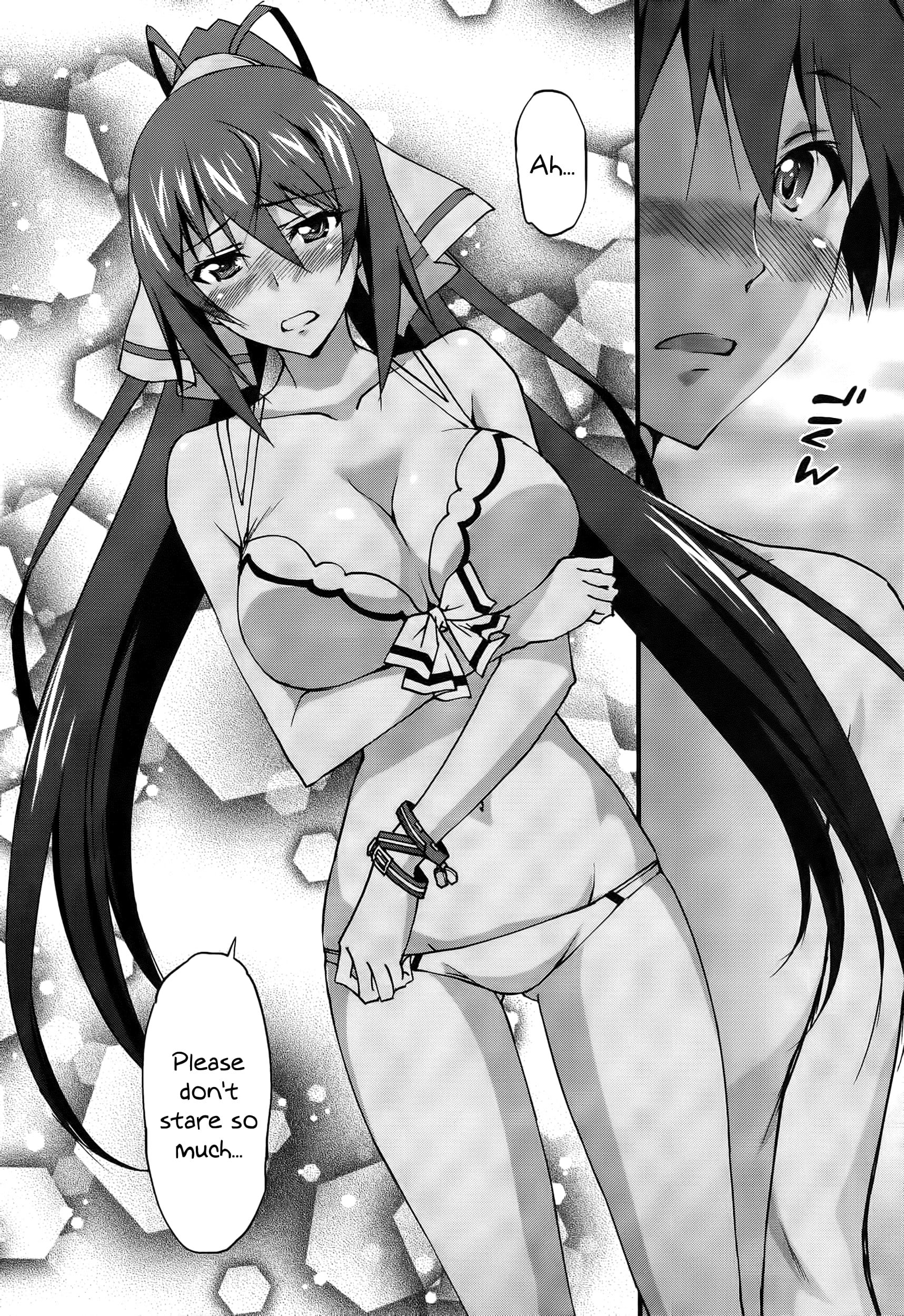 Infinite Stratos (YUUKI Homura) chapter 30 page 11