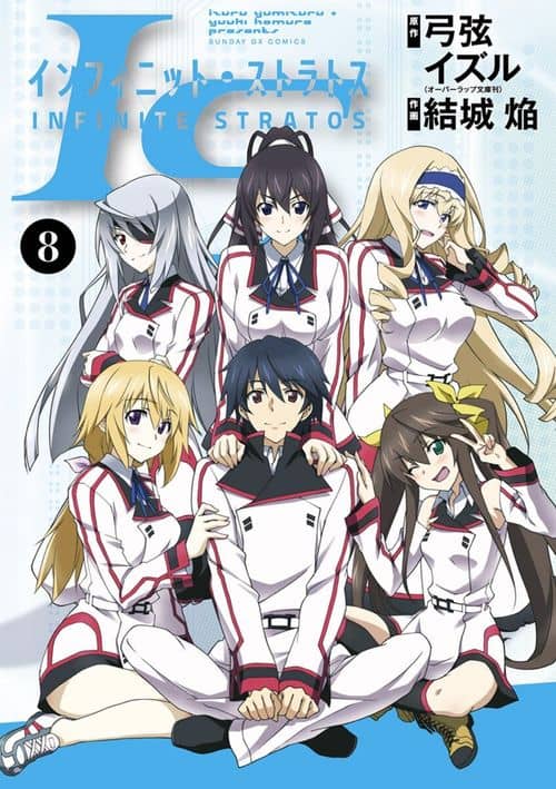 Cover of Infinite Stratos (YUUKI Homura)