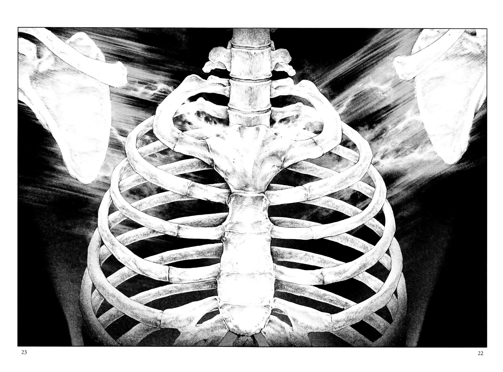 Innocent (SAKAMOTO Shinichi) chapter 32 page 19