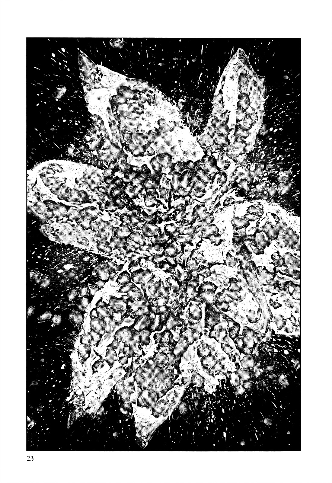 Innocent (SAKAMOTO Shinichi) chapter 9 page 24