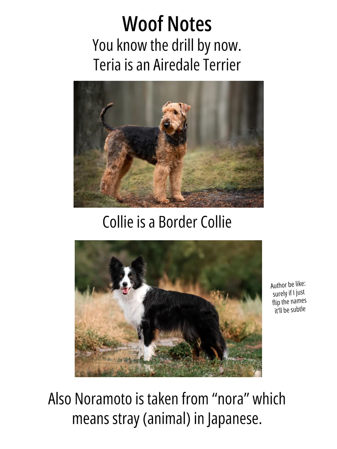 IseGure: After Constantly Being Used as a Foil for OP Isekai Protagonists, The Elite Knight Has Finally Had It. chapter 9 page 48