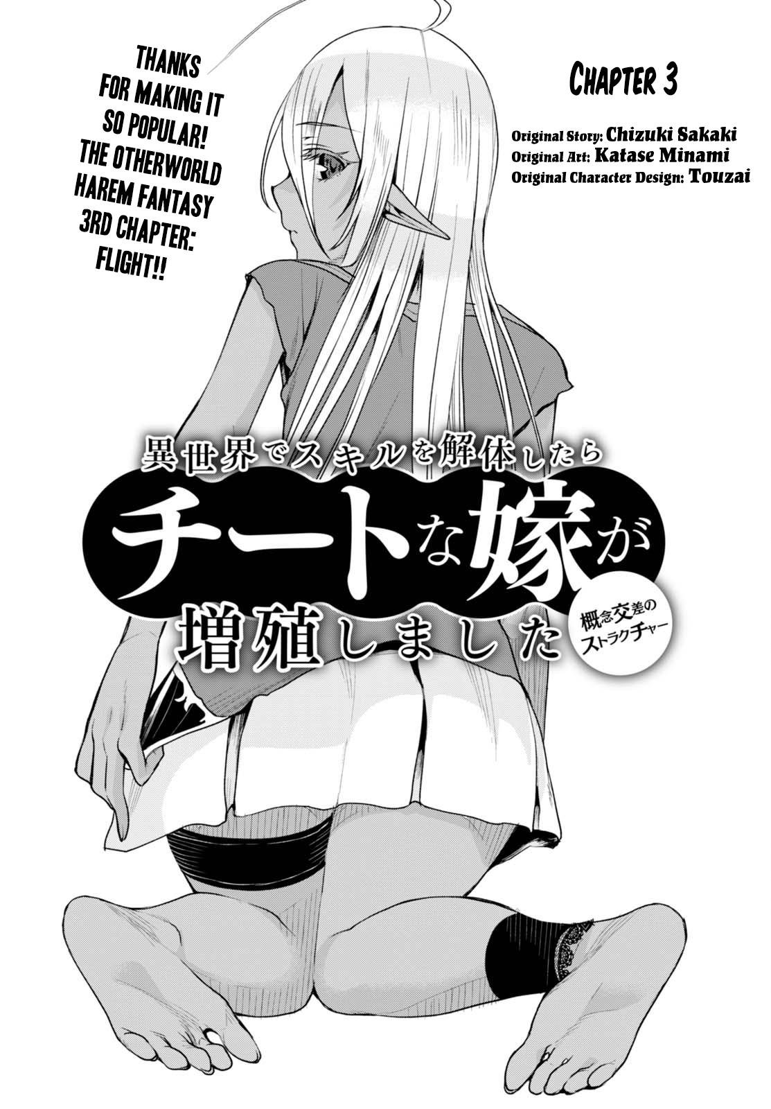 Isekai de Skill wo Kaitai shitara Cheat na Yome ga Zoushoku Shimashita: Gainen Kousa no Structure chapter 3 page 2