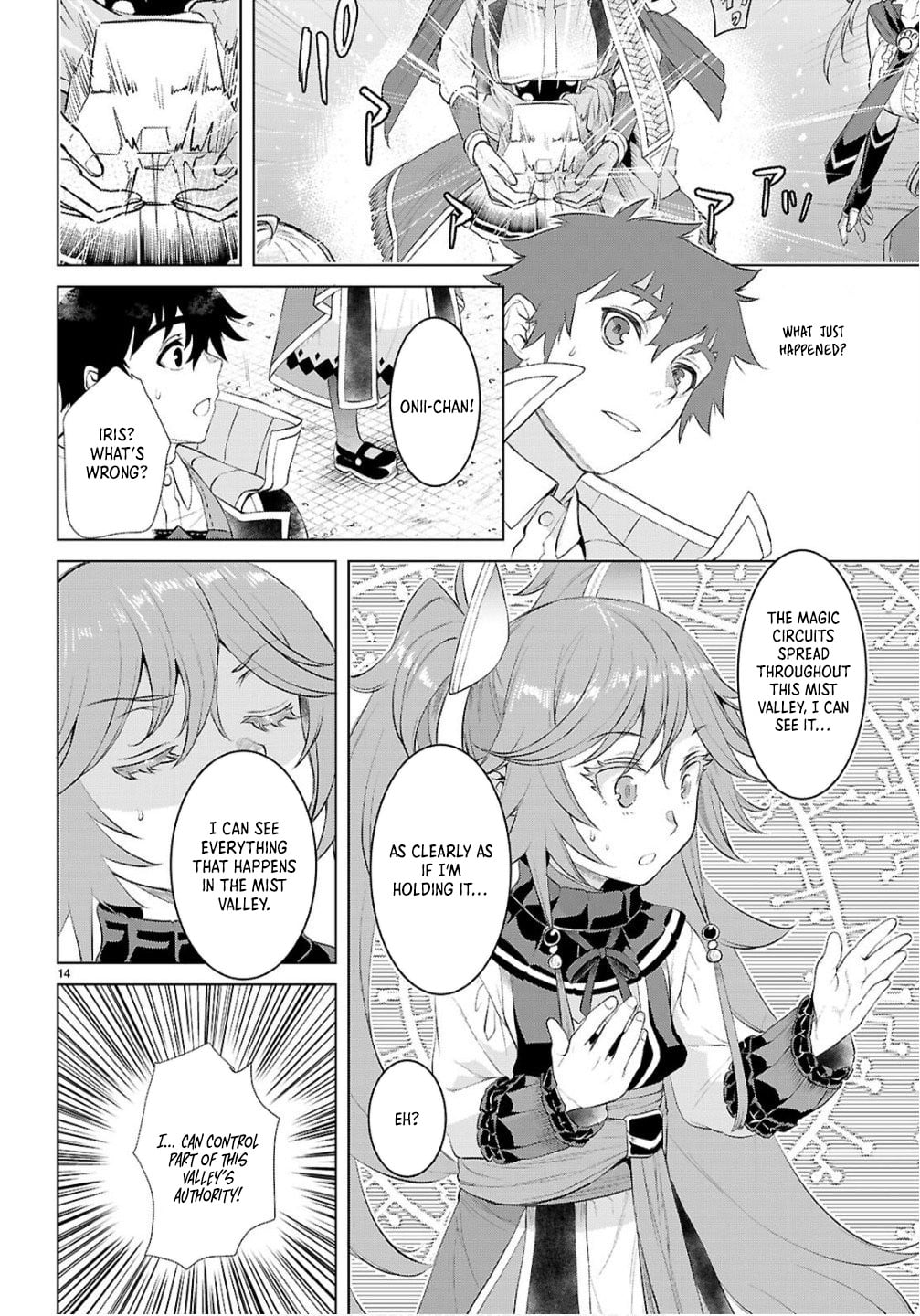 Isekai de Skill wo Kaitai shitara Cheat na Yome ga Zoushoku Shimashita: Gainen Kousa no Structure chapter 82 page 14