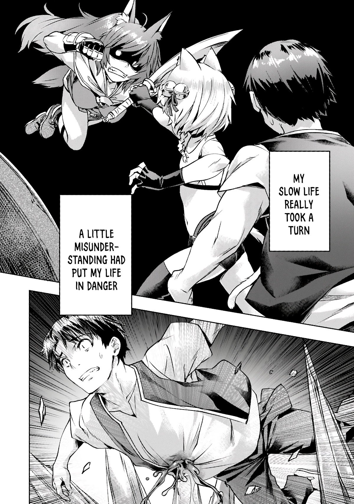 Isekai de Slow Life wo (Ganbou) chapter 25 page 3