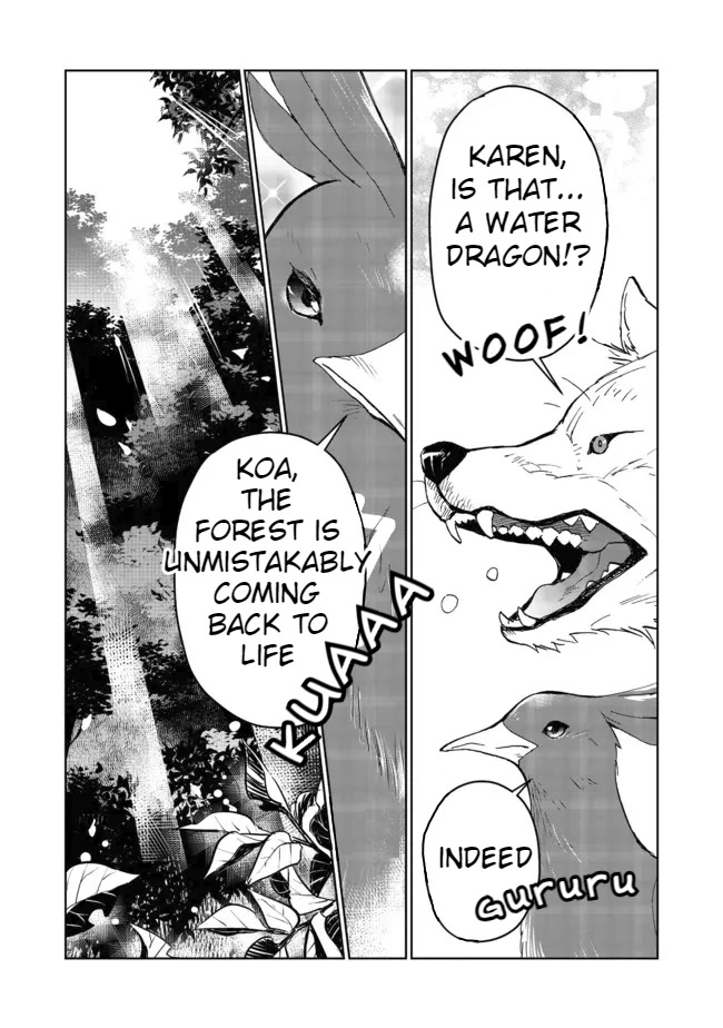 Isekai ni Otosareta… Jouka wa Kihon! chapter 13.1 page 17