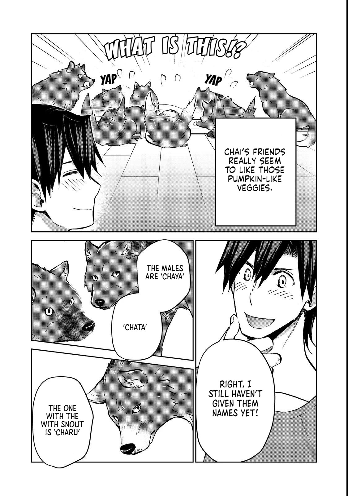 Isekai ni Otosareta… Jouka wa Kihon! chapter 17.1 page 10