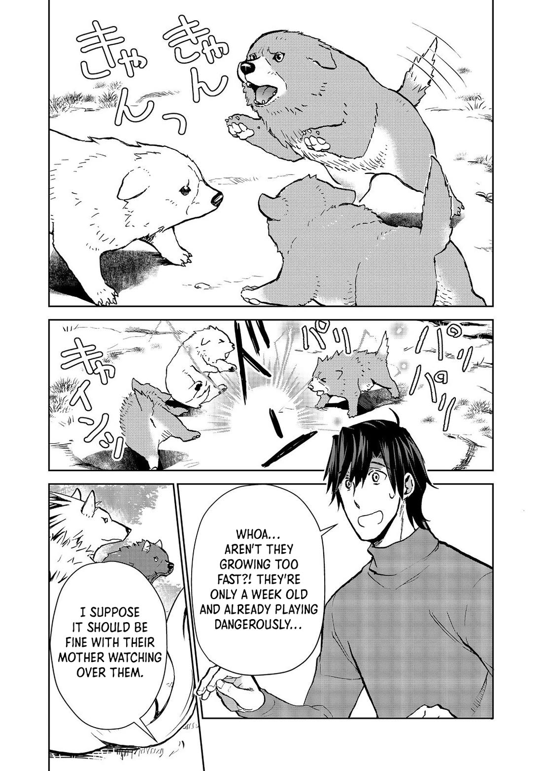 Isekai ni Otosareta… Jouka wa Kihon! chapter 25.1 page 7