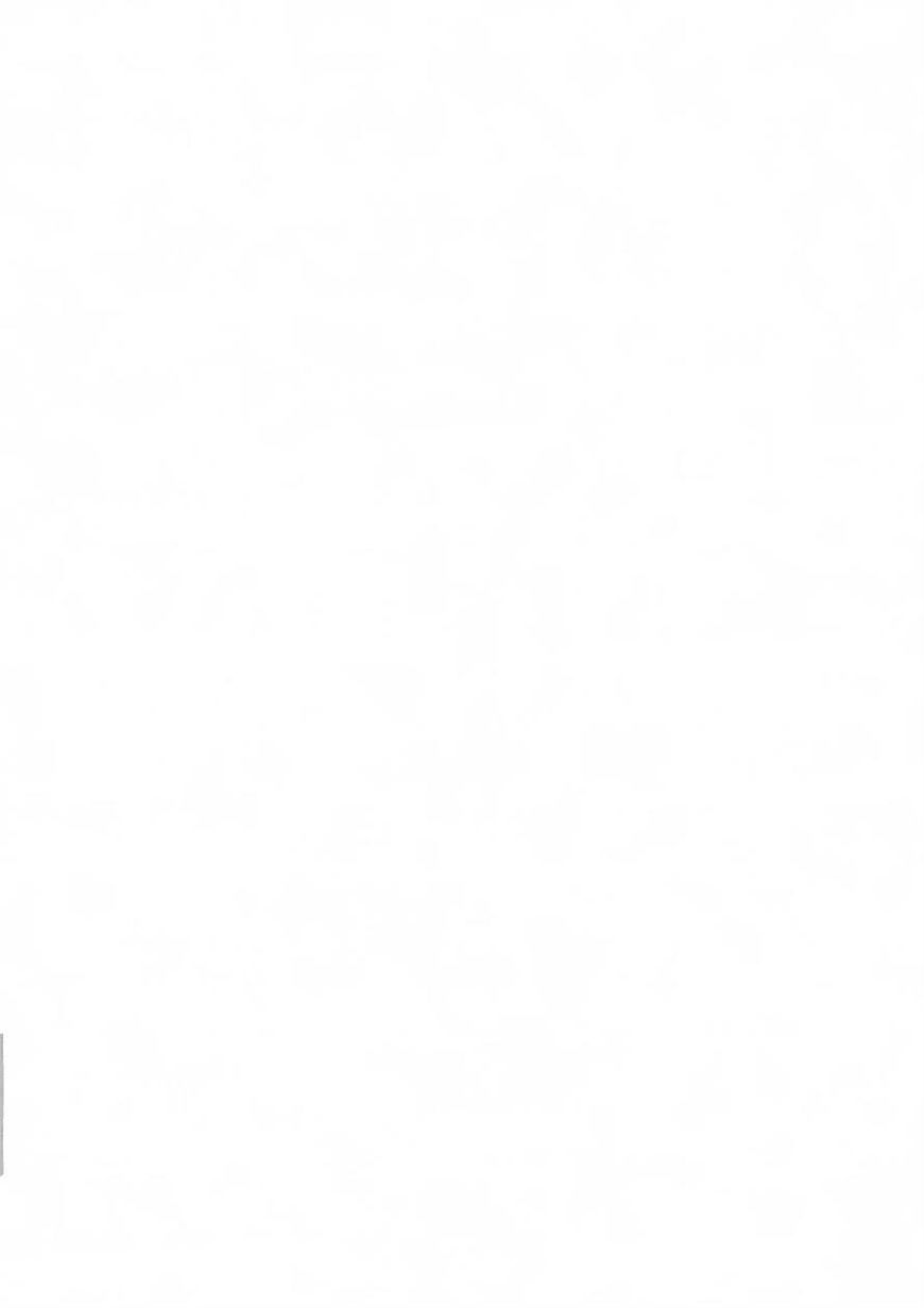 Isekai Shihai no Skill Taker: Zero kara Hajimeru Dorei Harem chapter 9 page 2