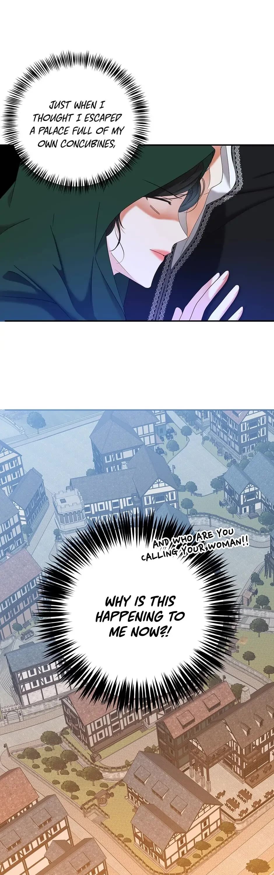 It Looks Like I’ve Fallen into the World of a Reverse Harem Game chapter 55 page 28